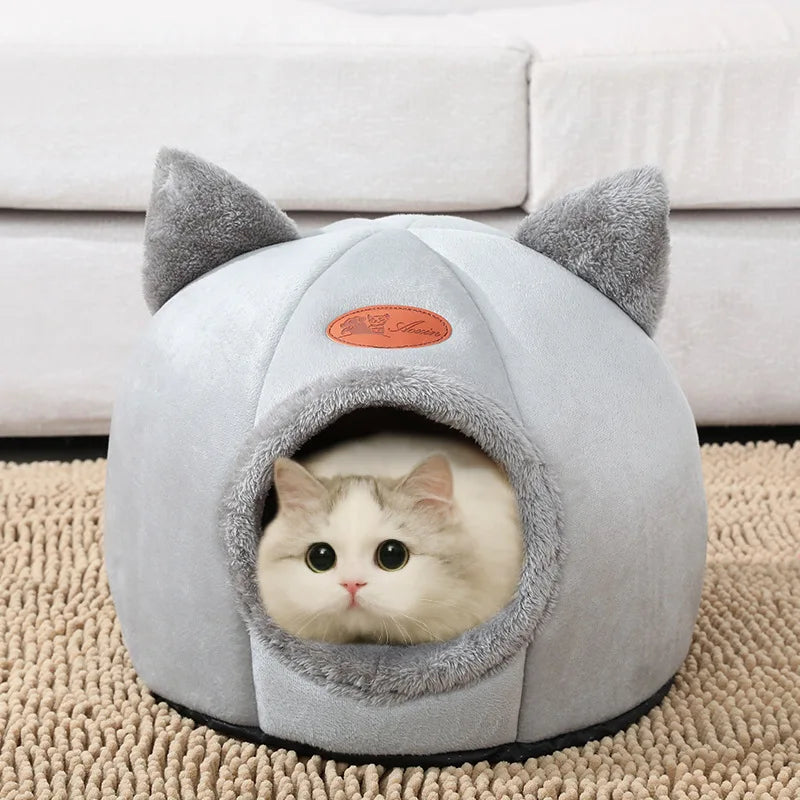 Maison pour chat confortable