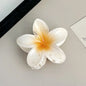 Pince cheveux fleurs