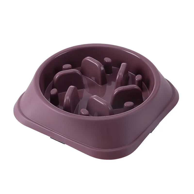 Gamelle labyrinthe pour chien