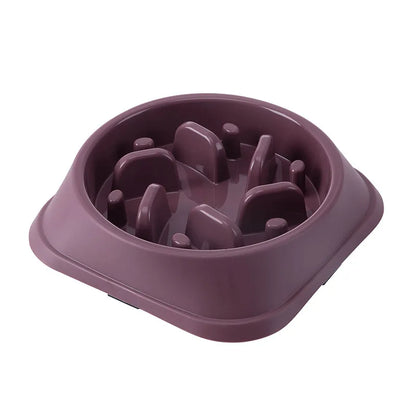 Gamelle labyrinthe pour chien