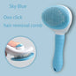 Brosse pour récupération de pertes de poils
