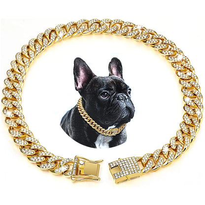 Collier chaîne pour Chien