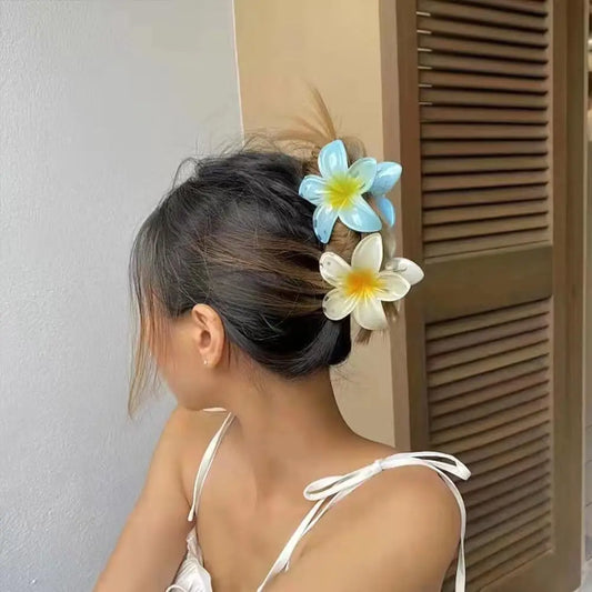 Pince cheveux fleurs