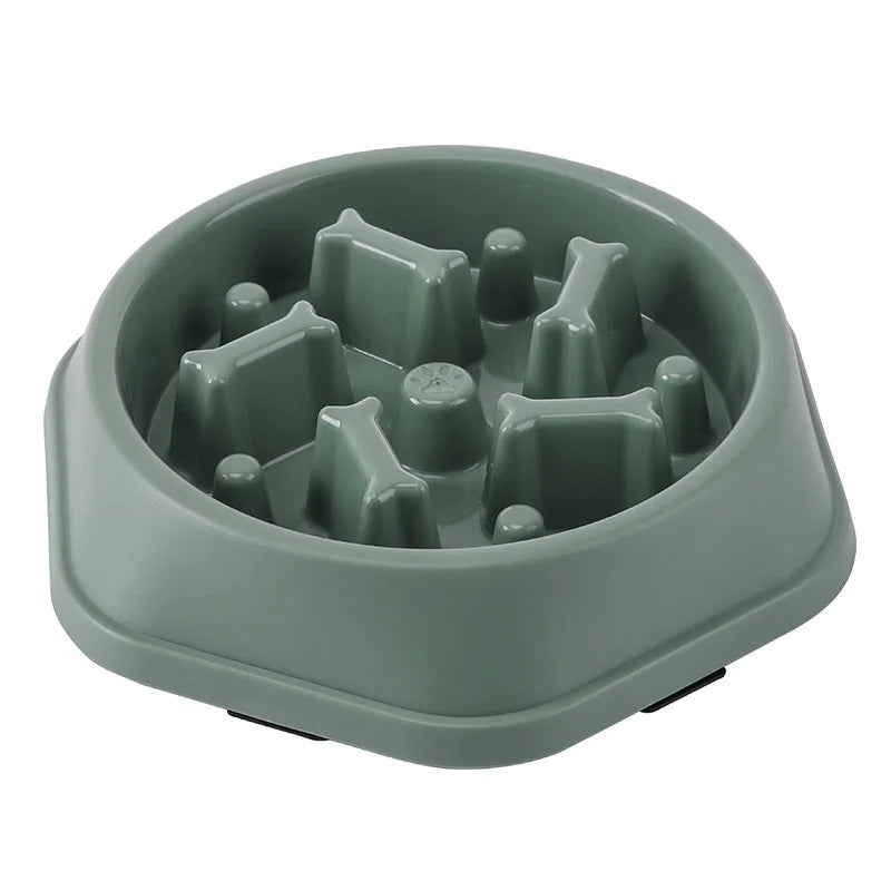 Gamelle labyrinthe pour chien