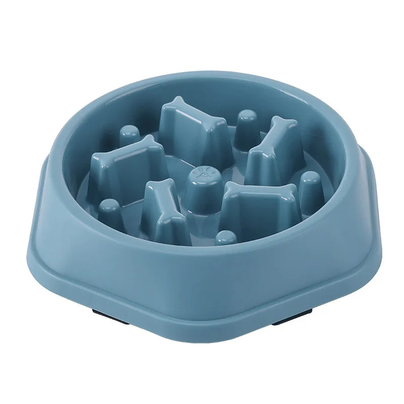 Gamelle labyrinthe pour chien
