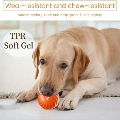 Balle intelligente pour chiens et chats