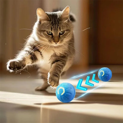 Balle intelligente pour chiens et chats