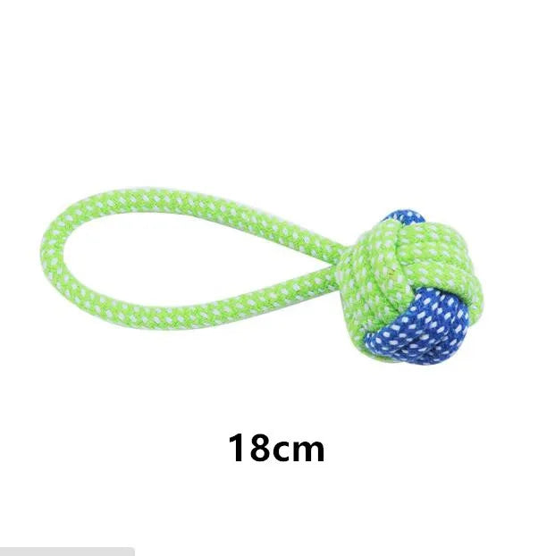 Jouets pour chiens