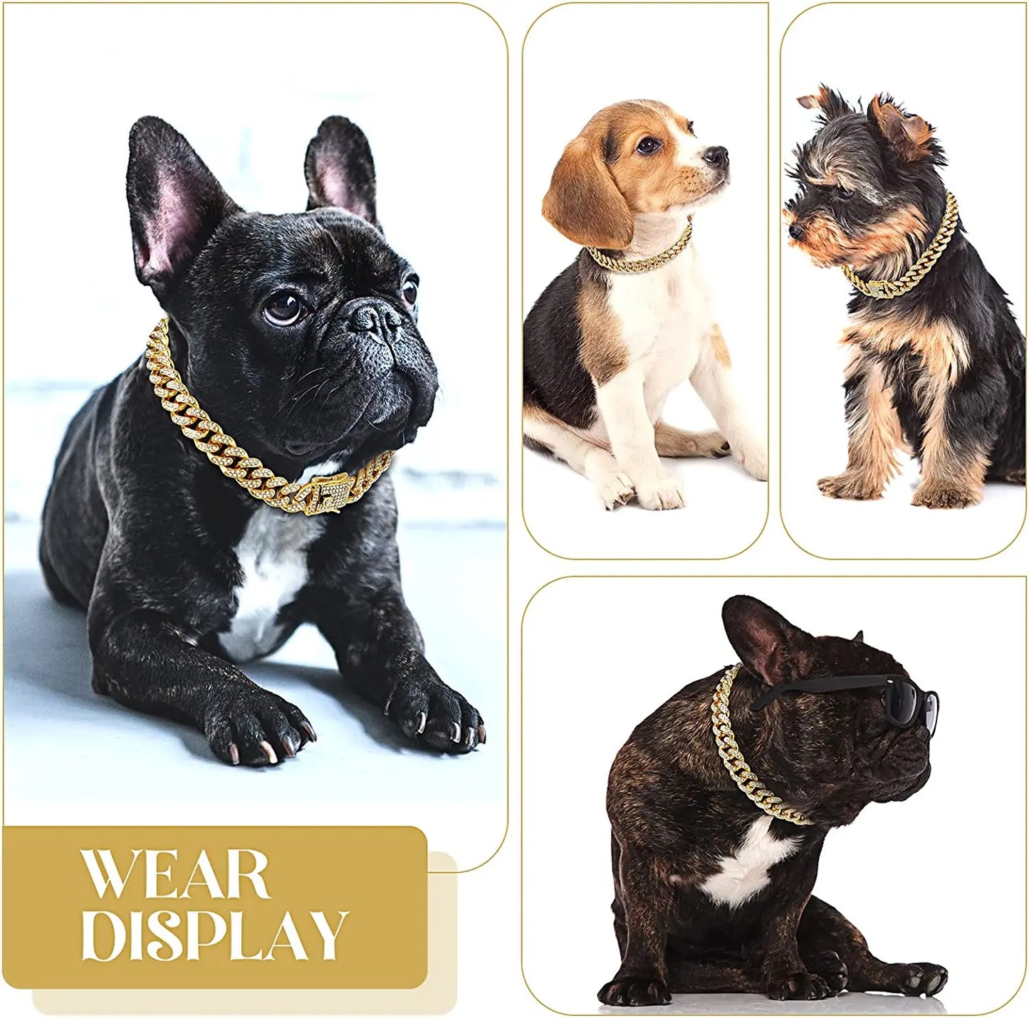 Collier chaîne pour Chien