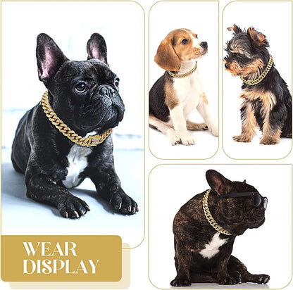 Collier chaîne pour Chien