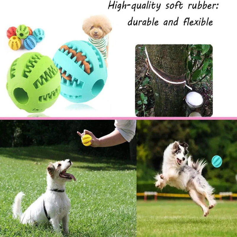 Balle avec nourriture intégrer pour animaux