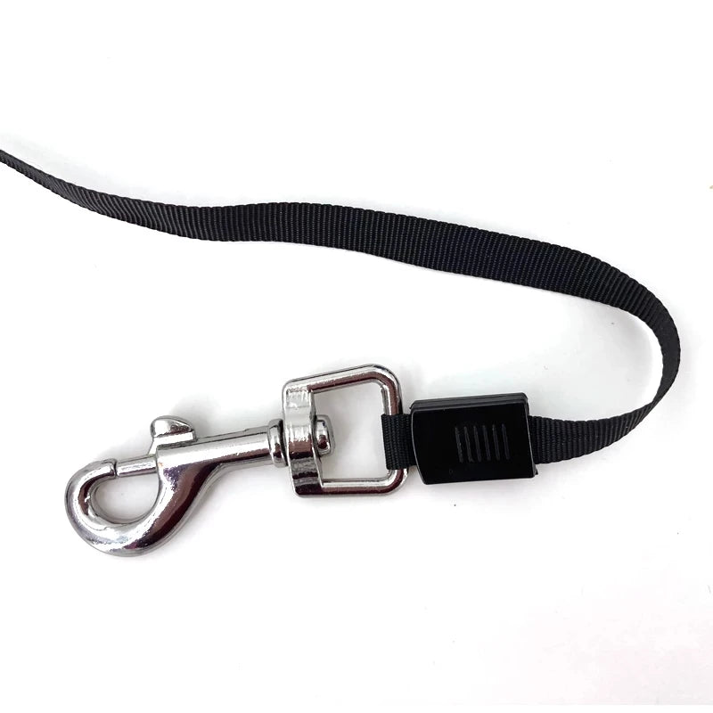 Laisse pour chiens 3 / 5 mètres rétractable