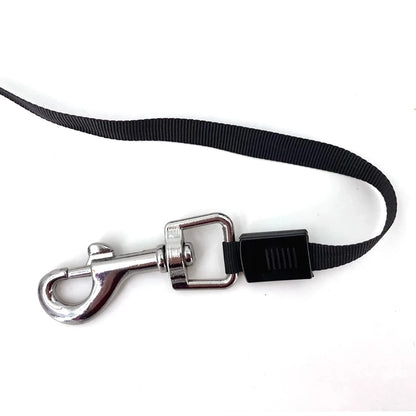 Laisse pour chiens 3 / 5 mètres rétractable