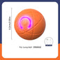 Balle intelligente pour chiens et chats
