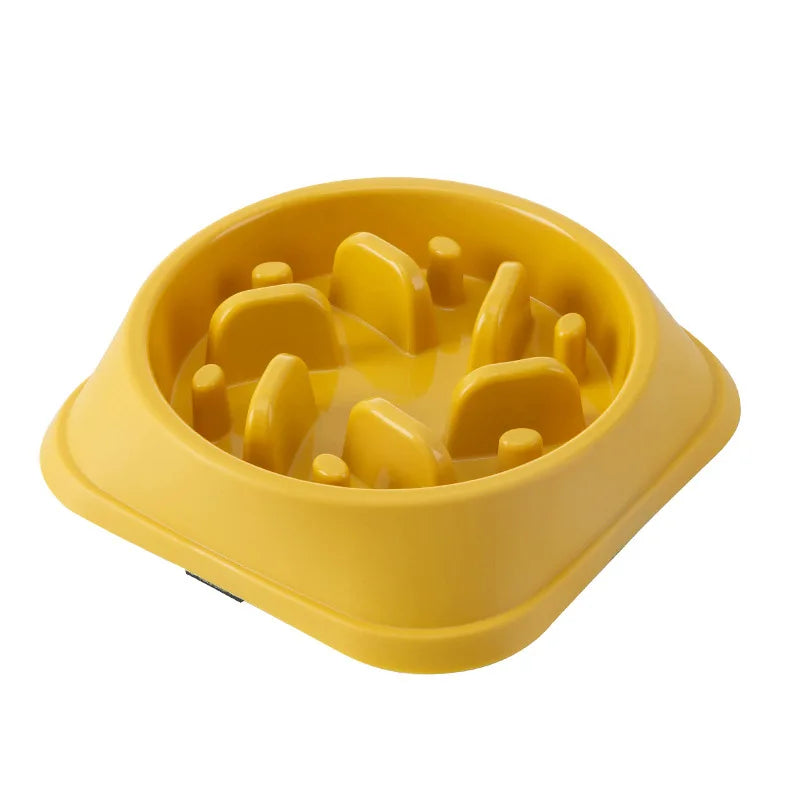 Gamelle labyrinthe pour chien