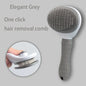 Brosse pour récupération de pertes de poils