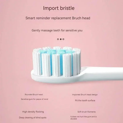 Brosse à dents électrique rechargeable