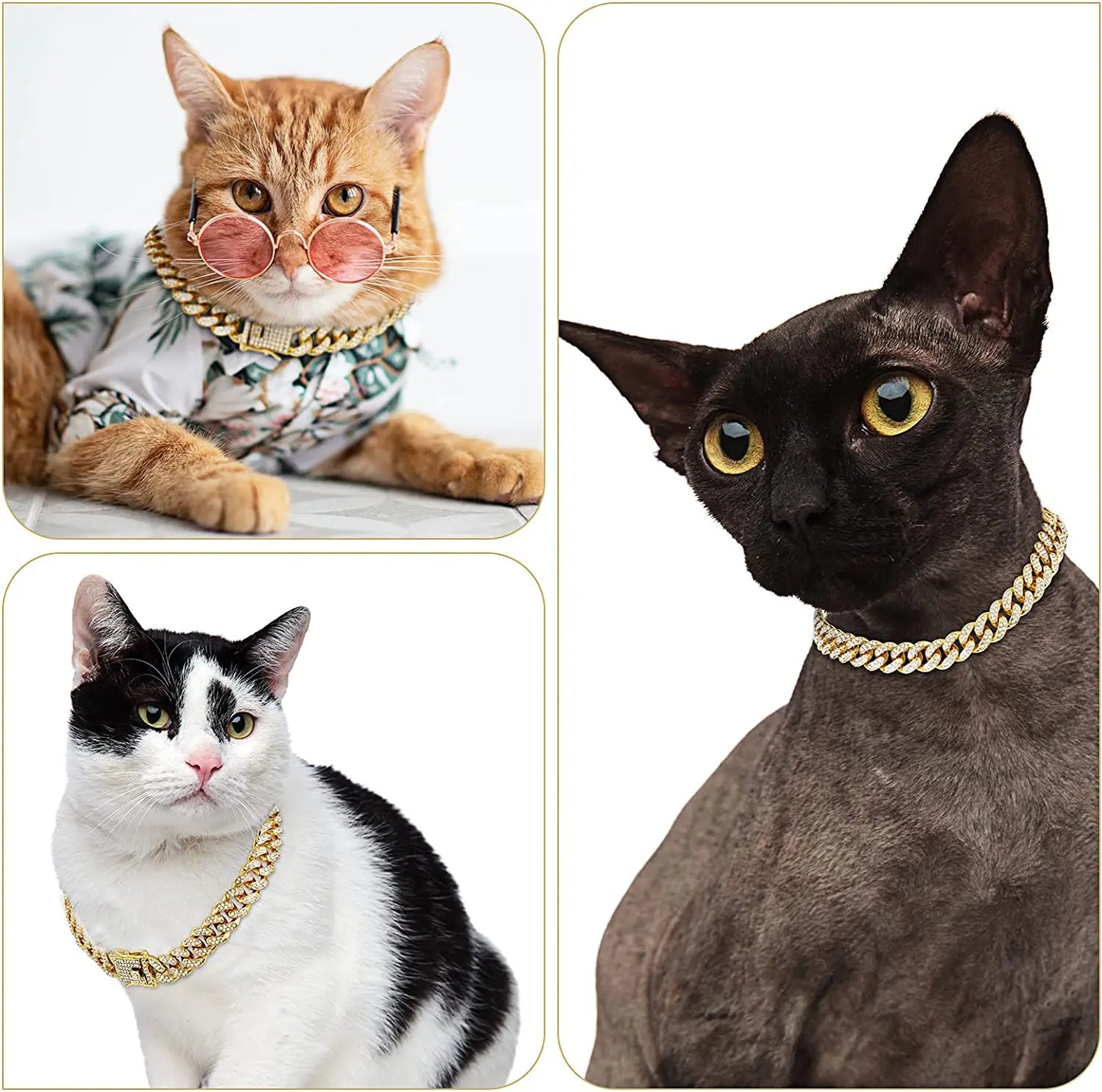 Collier chaîne pour Chien