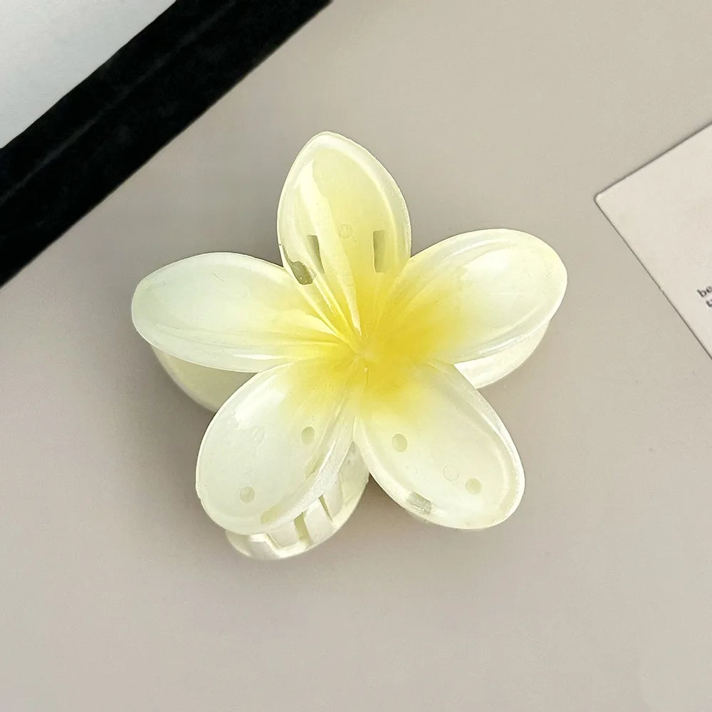 Pince cheveux fleurs