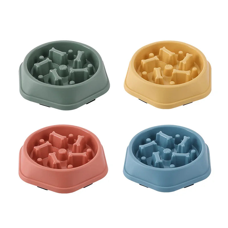 Gamelle labyrinthe pour chien